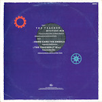 The Teacher (Mystery Mix) Rear Cover