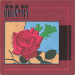 Where The Rose Is Sown (Germany Promo) Front Cover
